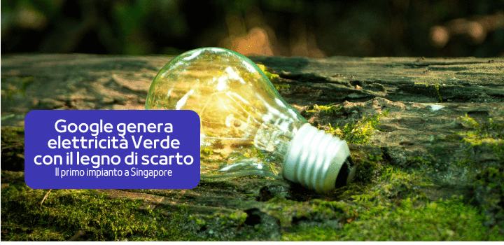 Google Genera Elettricità Verde a Singapore con il Legno di Scarto